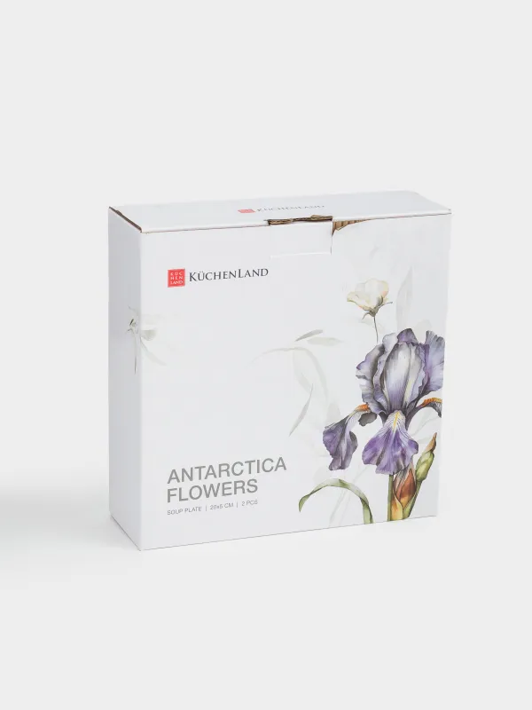 Тарелка суповая, 20х5 см, 2 шт, фарфор F, с серебристым кантом, Ирис, Antarctica Flowers, image-5