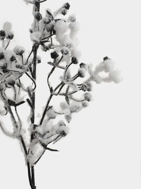 Ветка декоративная, 72 см, Снежные ягоды, White berry, image-3