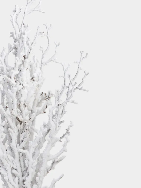 Ветка декоративная, 60 см, Замороженные ветви, Snowy decor, image-3