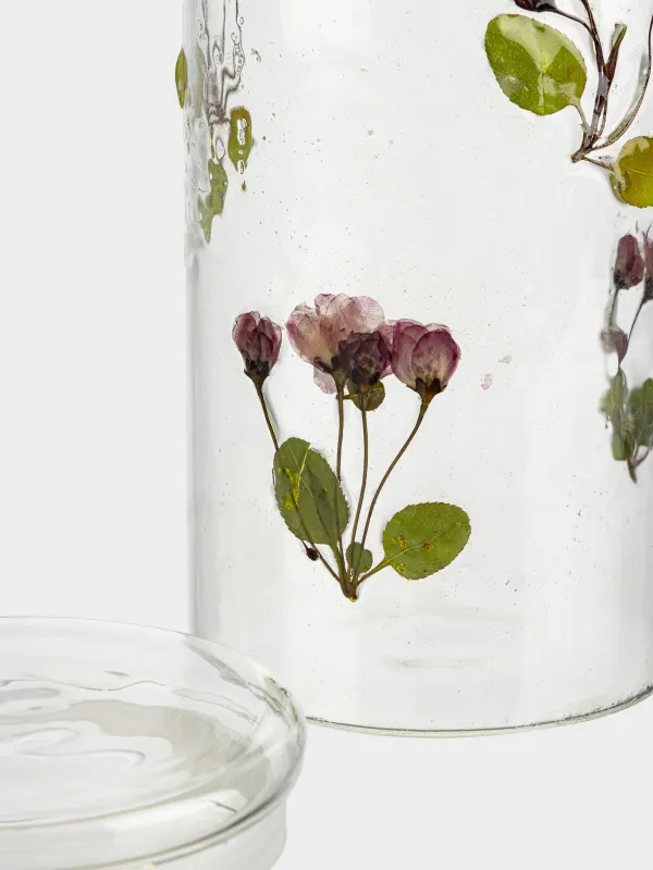 Банка для сыпучих продуктов, 900 мл, Clear dried, image-3