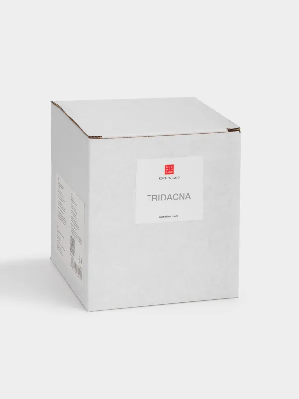 Светильник декоративный, 10х11 см, фарфор P, белый, Ракушка с жемчужиной, Tridacna, image-7