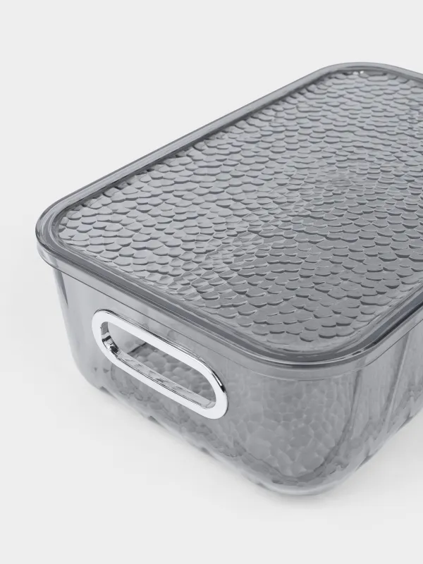 Ящик-органайзер, 25х16х8 см, с ручками и крышкой, пластик, серый, Renaissance clear, image-5