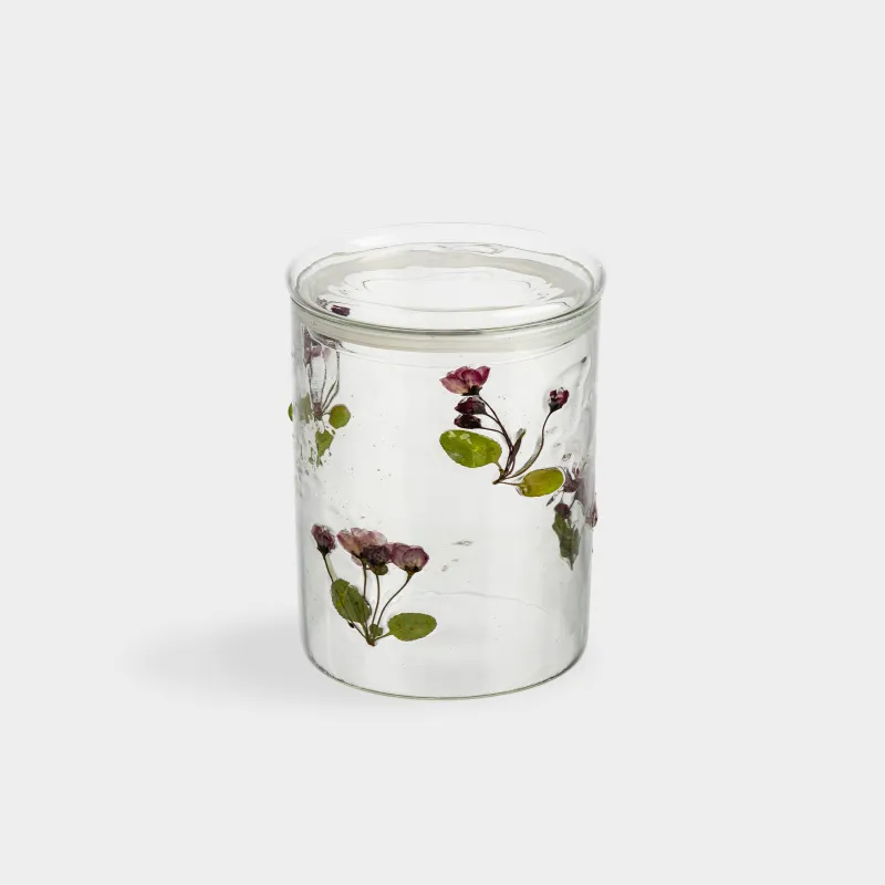 Банка для сыпучих продуктов, 900 мл, стекло Б, с сухоцветами внутри, Clear dried, image-1