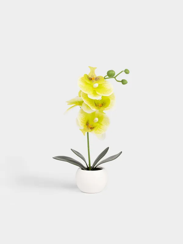 Растение искусственное, Orchid, image-0