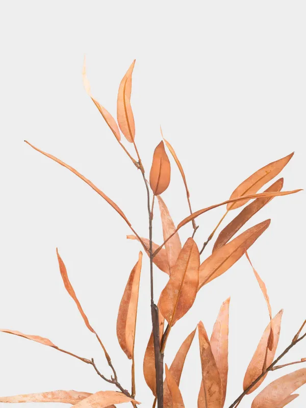 Ветка декоративная, 1,1 м, полиэстер/пластик, Эвкалипт, Colors autumn decor, image-3
