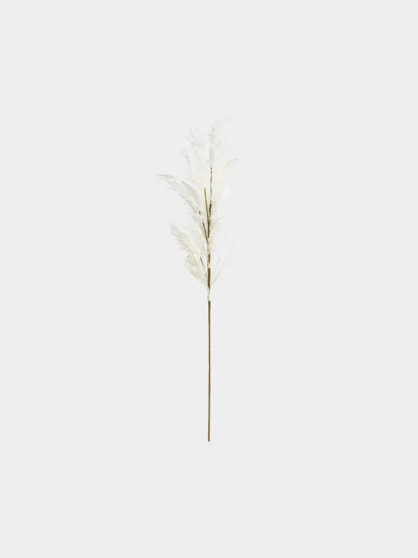 Ветка декоративная, 1 м, Белая пампасная трава, Meadow decor, image-0