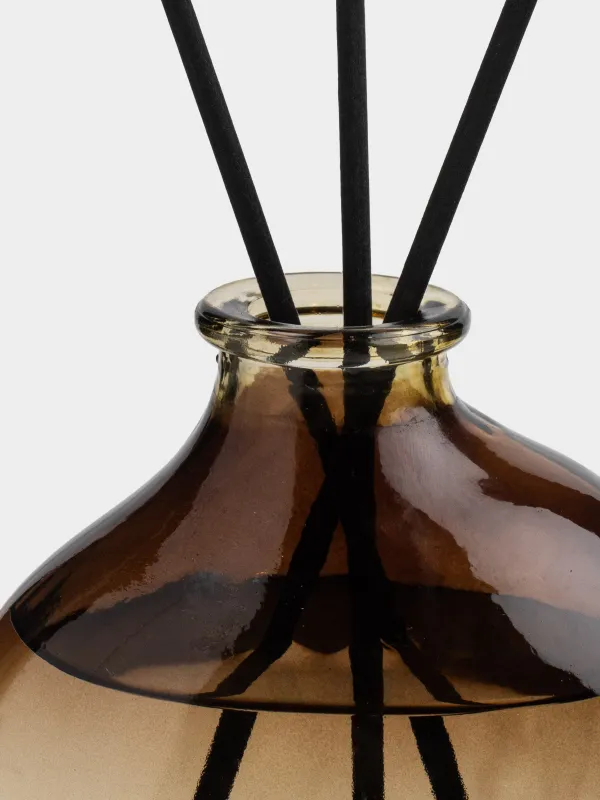 Ароматический диффузор, 200 мл, Boree Wattle 07, Raizen, image-2