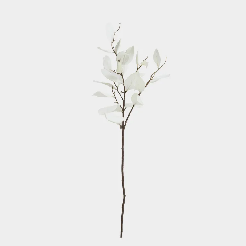 Ветка декоративная, Broadleaf decor