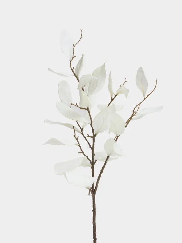 Ветка декоративная, Broadleaf decor, image-1