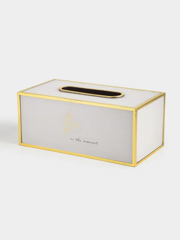 Бокс для бумажных салфеток, 24х13 см, пластик/стекло, молочно-золотистый, Live, Fardella, image-1
