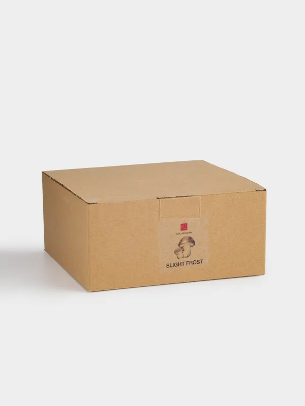 Салатник, 16х8 см, 980 мл, керамика, молочный, Грибы, Slight frost, image-5