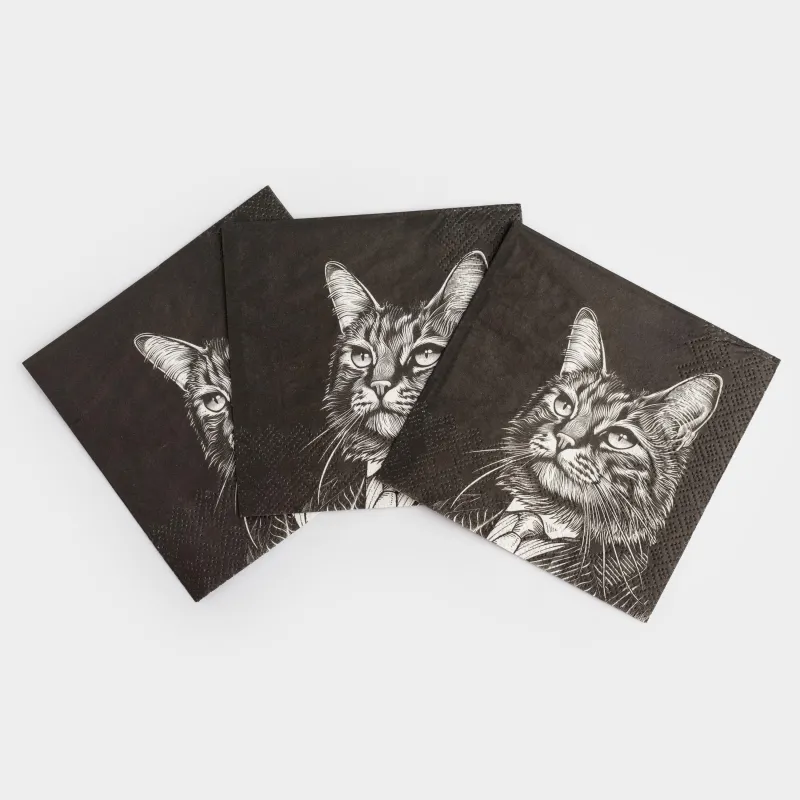 Салфетки бумажные, 21х21 см, 20 шт, квадратные, черные, Кот в костюме, Cat, image-2