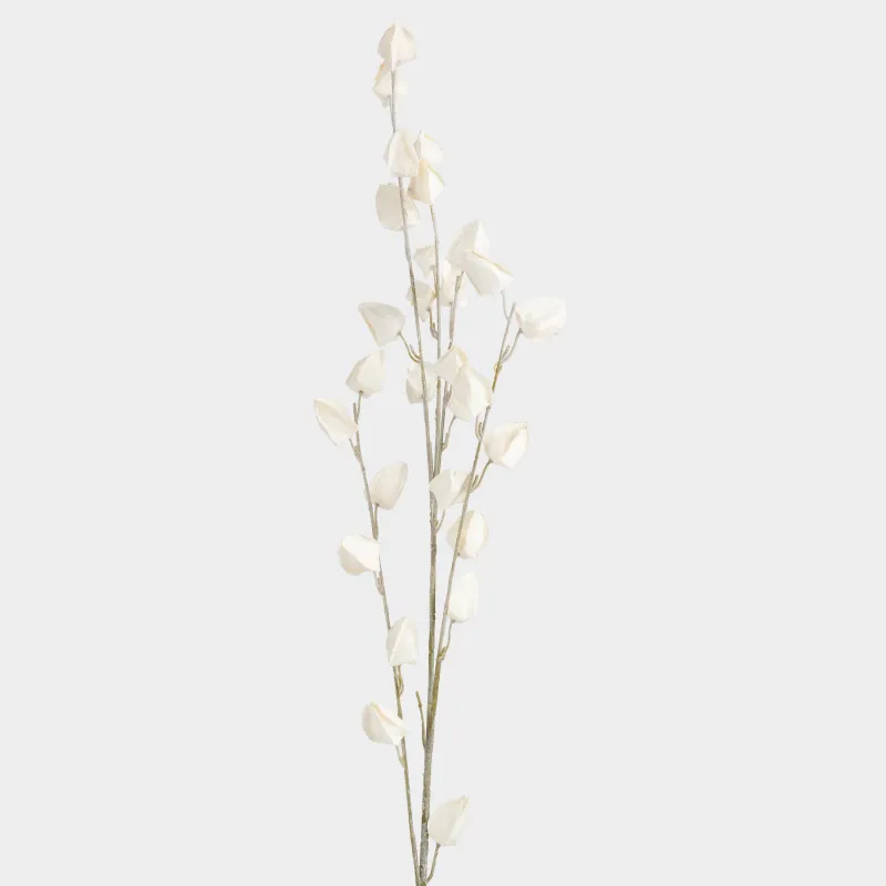 Ветка декоративная, 85 см, Белый физалис, Flower garden, image-1