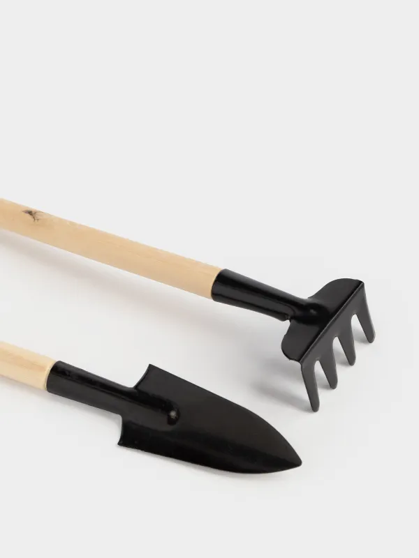 Набор инструментов для комнатных растений, 17 см, 2 пр, металл/дерево, черный, Gardening, image-1