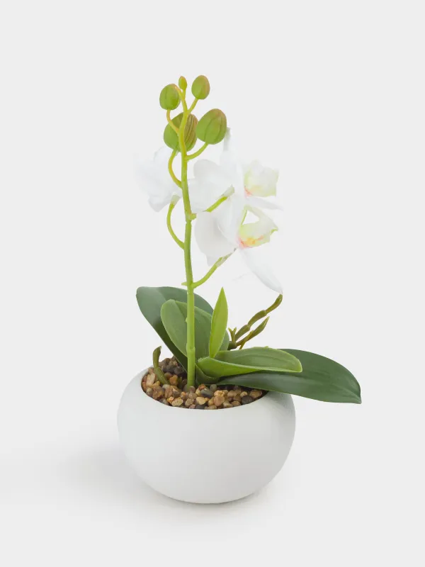 Растение искусственное, 22 см, термопластичная резина/керамика, Orchid, image-3