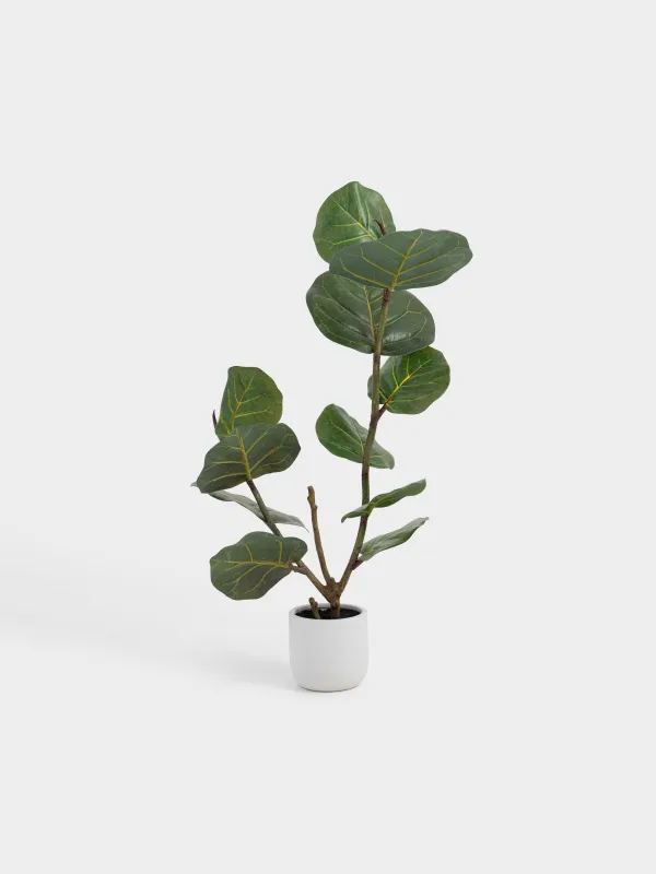 Растение искусственное, 85 см, в горшке, пластик, Фикус, Pot garden, image-0