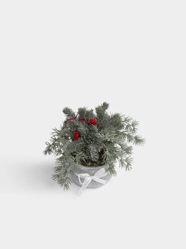 Композиция новогодняя, 30 см, Хвоя с шиповником, Conifer decor, image-3