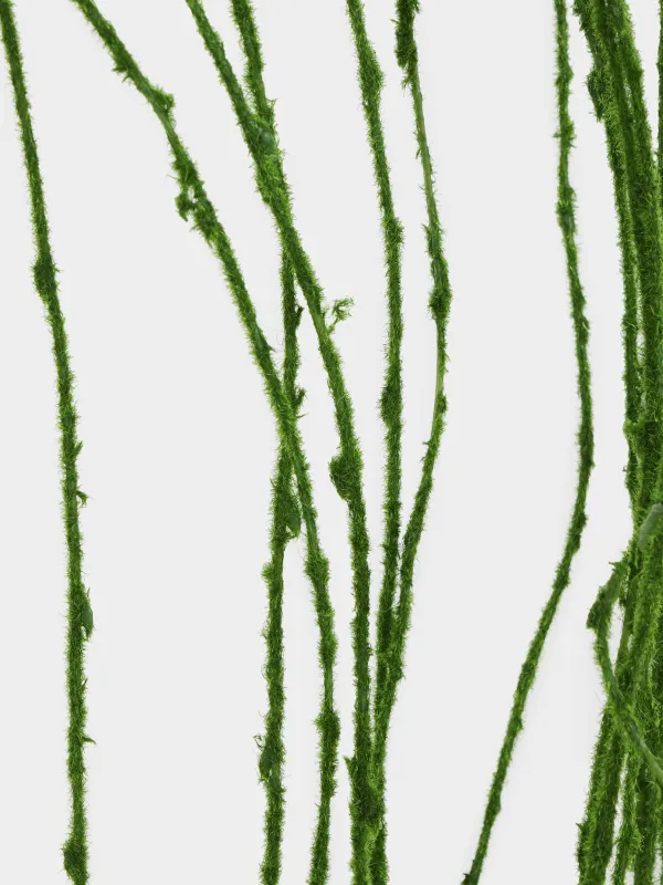 Ветка декоративная, 1,2 м, пластик/металл, Ива, Curved decor, image-2