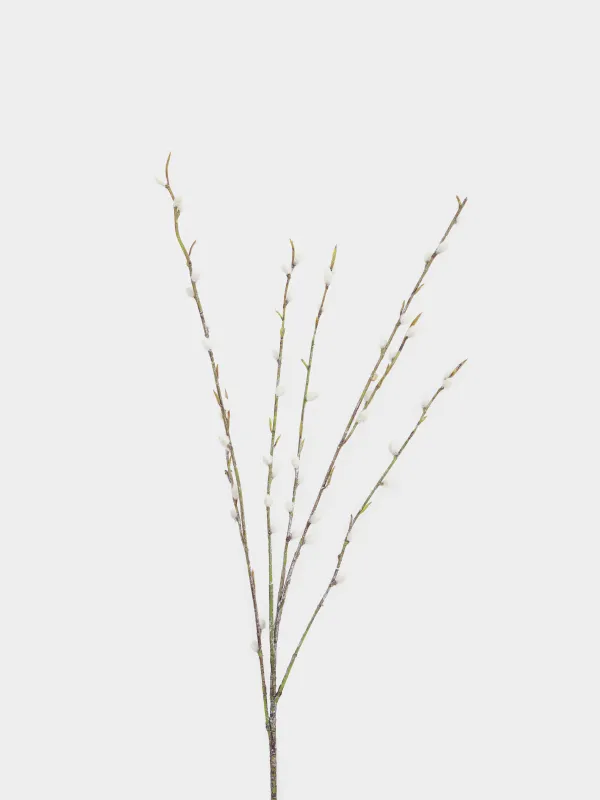 Ветка декоративная, 1,1 м, Верба, Willow decor, image-1