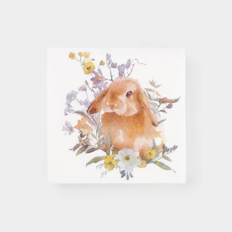Салфетки бумажные, 21х21 см, 20 шт, квадратные, белые, Кролик, Natural Easter