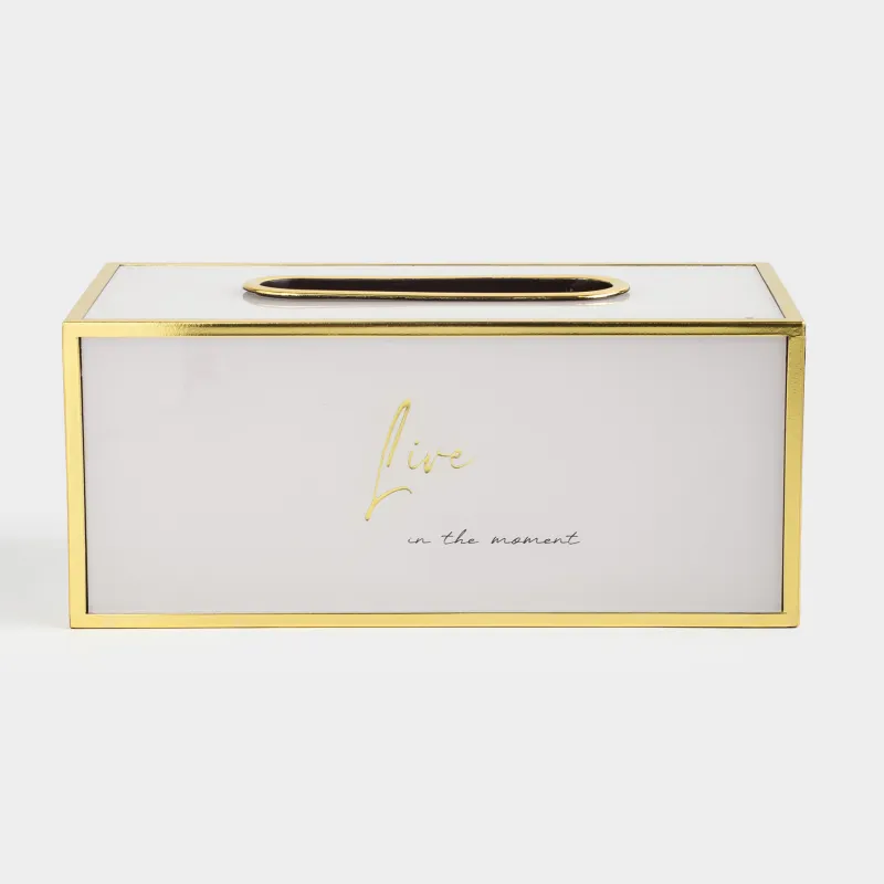 Бокс для бумажных салфеток, 24х13 см, пластик/стекло, молочно-золотистый, Live, Fardella
