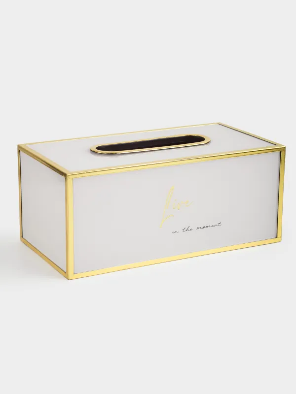 Бокс для бумажных салфеток, 24х13 см, пластик/стекло, молочно-золотистый, Live, Fardella, image-3