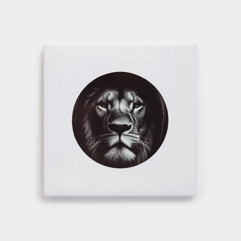 Подставка под кружку, 11х11 см, квадратная, керамика/пробка, черная, Лев, Brutal style, image-3