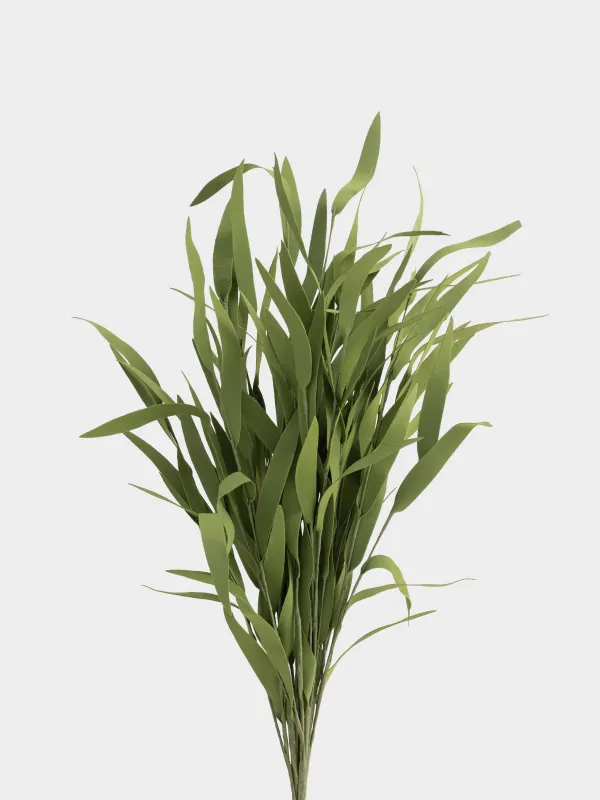 Ветка декоративная, 68 см, Эвкалипт, Leafs decor, image-1