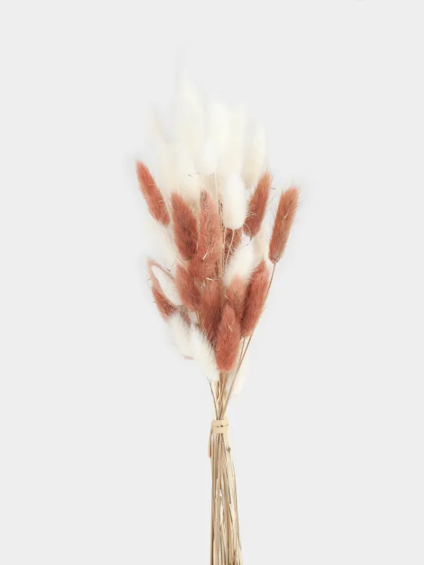Букет декоративный, 60 см, сухоцветы, бежевый/белый, Колоски, Dried flower, image-1