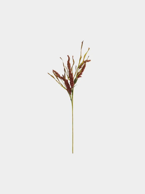 Ветка декоративная, 77 см, Сорго, Meadow decor, image-0