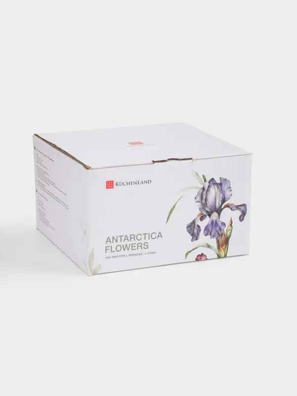 Пара чайная, 2 перс, 4 пр, 300 мл, фарфор F, с серебристым кантом, Ирис, Antarctica Flowers, image-6