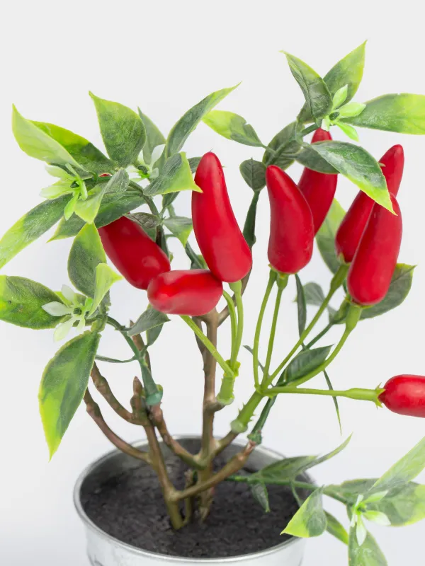Композиция декоративная, в горшке, Vegetable shape, image-2