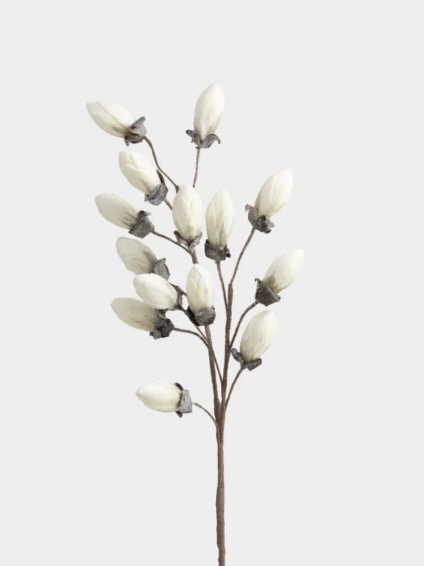 Ветка декоративная, 1 м, Белая магнолия, Magnolia, image-1
