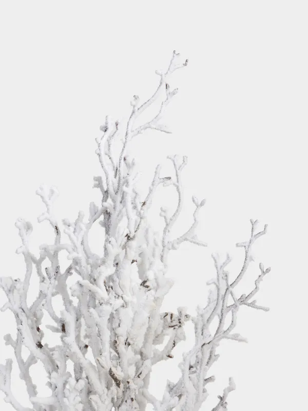 Ветка декоративная, 60 см, Замороженные ветви, Snowy decor, image-2