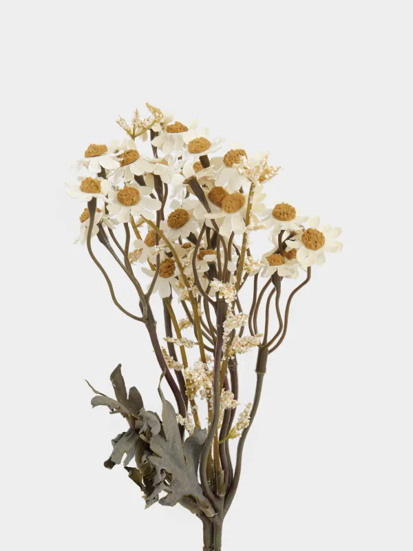 Букет декоративный, 35 см, Белые ромашки, Daisies, image-1