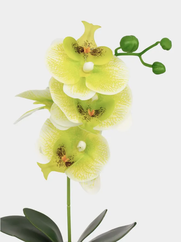 Растение искусственное, Orchid, image-1