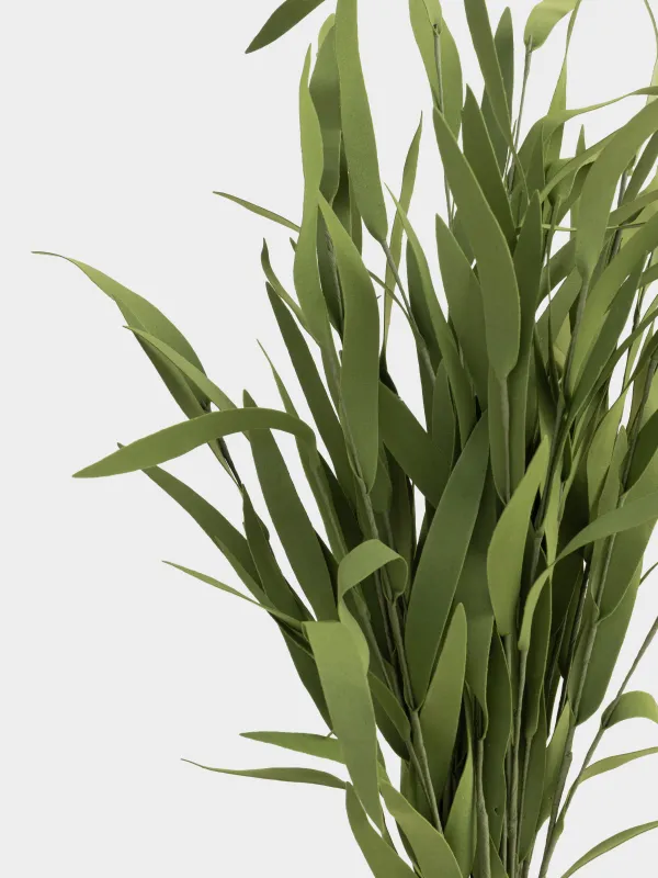 Ветка декоративная, 68 см, Эвкалипт, Leafs decor, image-2