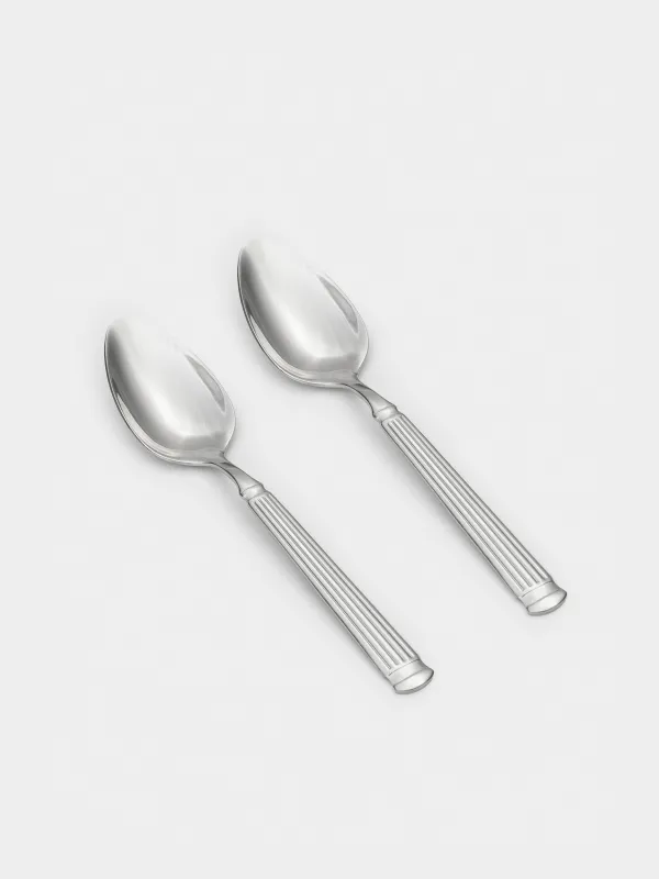 Ложка столовая, 2 шт, сталь, Полосы, Manresa, image-1
