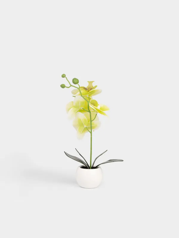Растение искусственное, Orchid, image-3