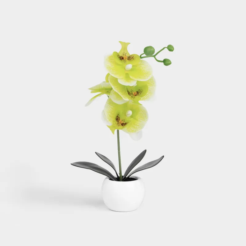 Растение искусственное, Orchid