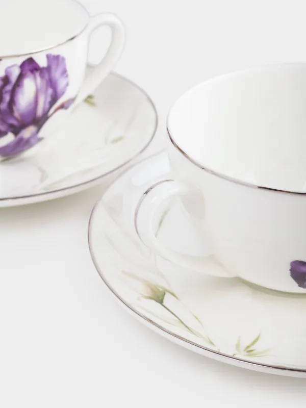 Пара чайная, 2 перс, 4 пр, 300 мл, фарфор F, с серебристым кантом, Ирис, Antarctica Flowers, image-5