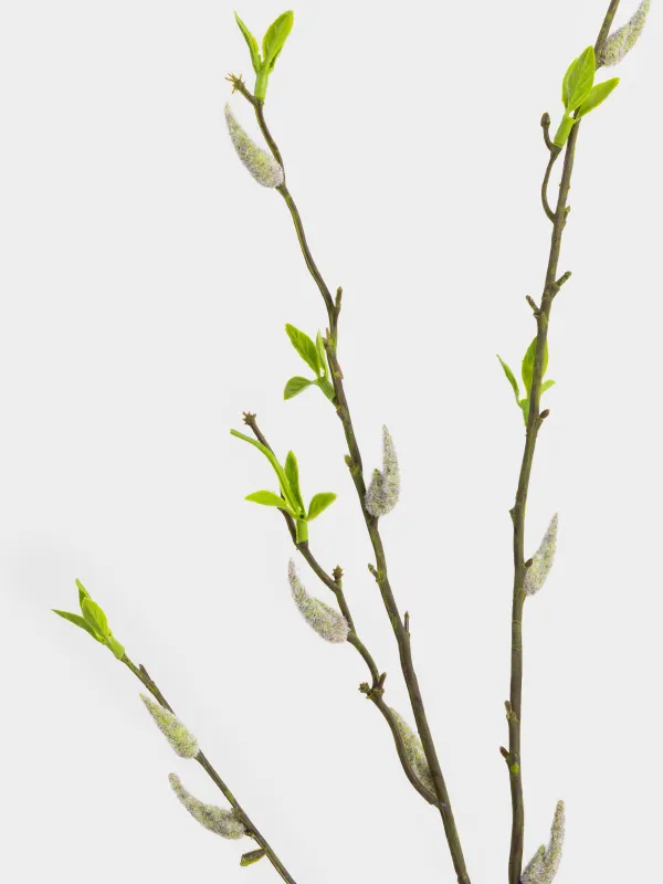 Ветка декоративная, 1 м, пластик/металл, Листья, Leafs decor, image-3