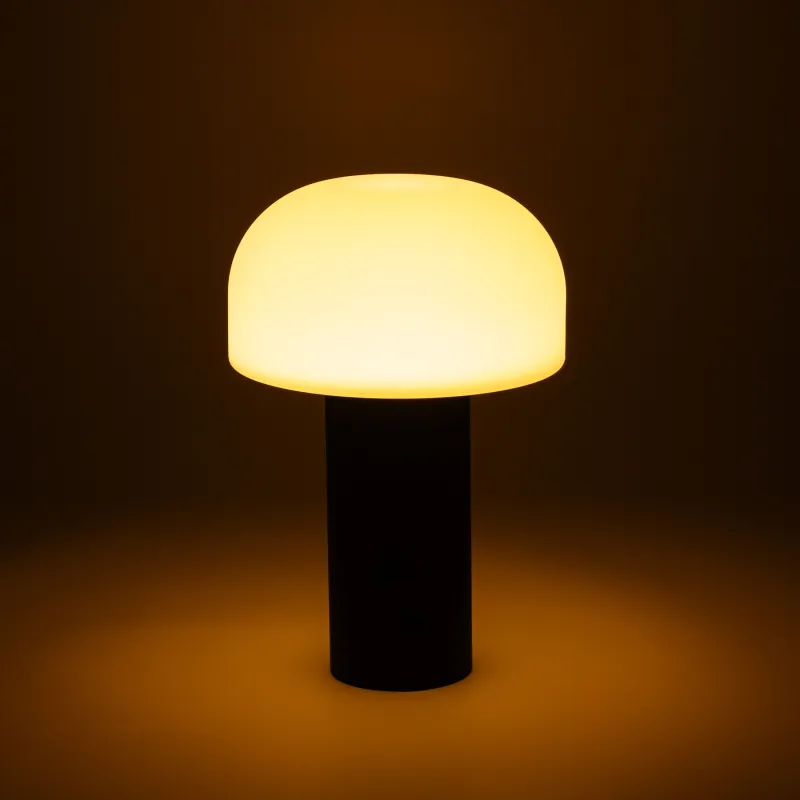 Светильник беспроводной, 15х22 см, с USB/Type-C разъемами, металл/пластик, черно-белый, B&W