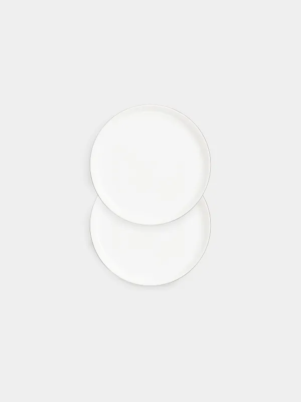 Тарелка закусочная, 24 см, 2 шт, фарфор F, Antarctica, image-0