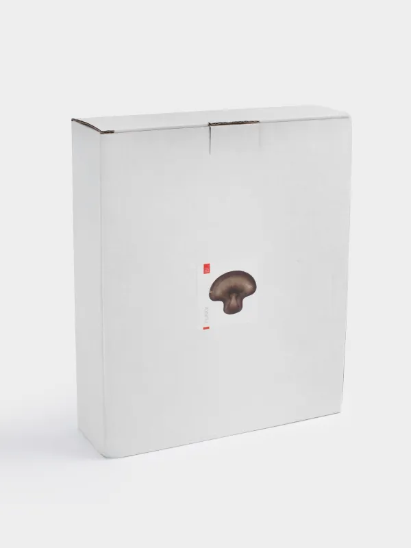 Блюдо декоративное, 20х17х3 см, стекло, коричневое, Гриб, Fungi, image-5