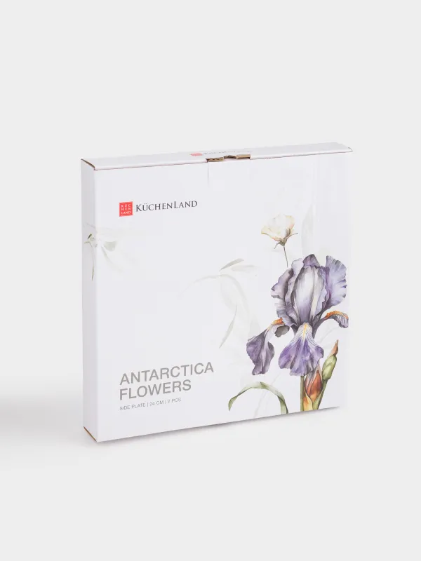 Тарелка закусочная, 24 см, 2 шт, фарфор F, с серебристым кантом, Ирис, Antarctica Flowers, image-8