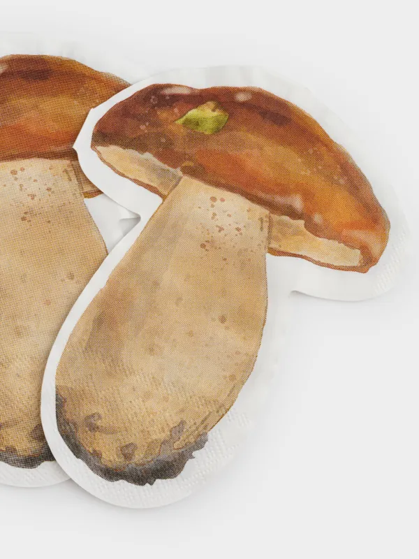 Салфетки бумажные, 25х32 см, 20 шт, Гриб, Fungi, image-3