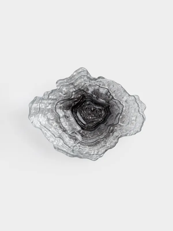 Блюдо, 23х17x5 см, с градиентом, Устрица, Shellfish, image-4