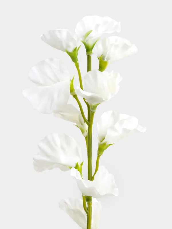 Ветка декоративная, 70 см, Белый лизиантус, Flower garden, image-2