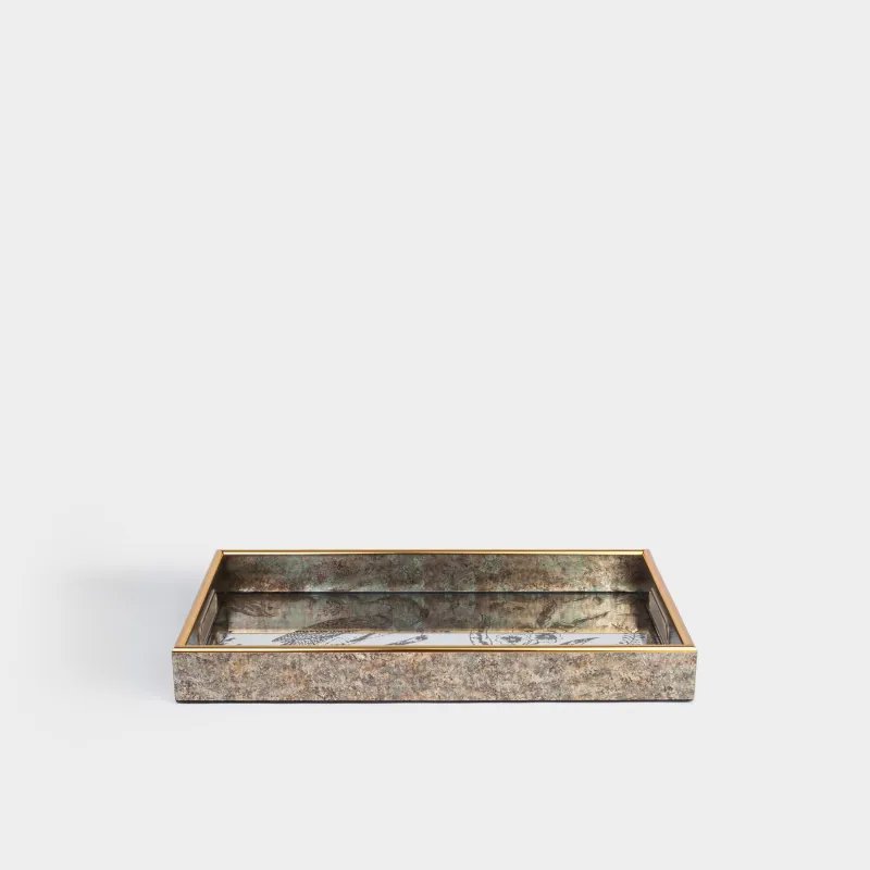 Поднос, 25х40 см, пластик/стекло, прямоугольный, зеркальный, Птица, Bluebird